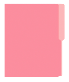 FOLDER LISO ROSADO T/C PX25 PLUS