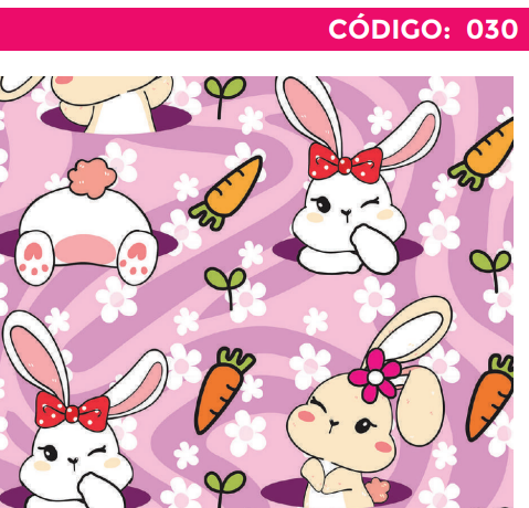 4300-030 PLIEGO DE REGALO NIÑA