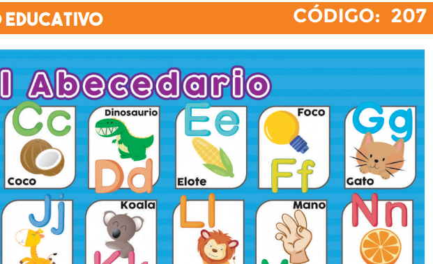 4300-207 PLIEGO EDUCATIVO