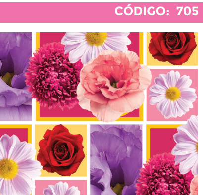4300-705 PLIEGO DE REGALO DAMA