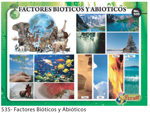 LAMINAS EDUCATIVAS FACTORES BIOTICOS Y ABIOTICOS