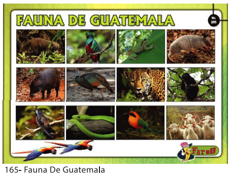 LAMINAS EDUCATIVAS LA FAUNA DE GUATEMALA