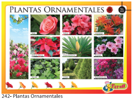 Laminas Educativas - f242 Plantas ornamentales