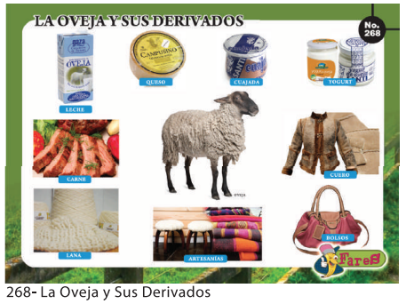 Laminas educativas - f268 La oveja y sus derivados