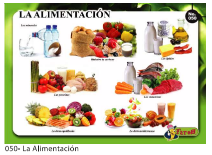 Laminas educativas La Alimentacion
