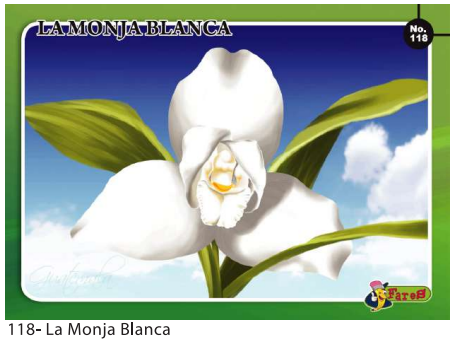 Laminas educativas La Monja Blanca