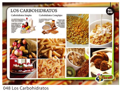 Laminas educativas Los Carbohidratos