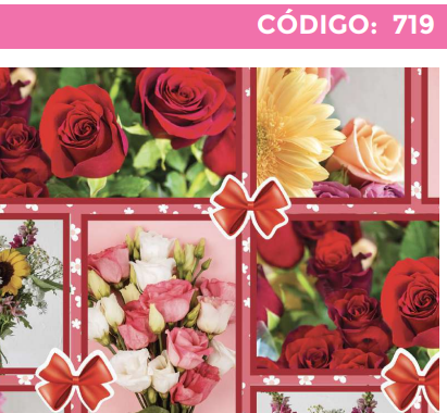 [4300-719] 4300-719 PLIEGO DE REGALO DAMA