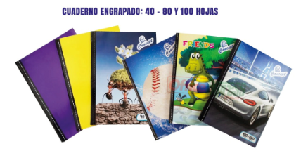 [6000-24] CUADERNO ENGRAPADO 100 H. BLANCO CONCEPT FX120