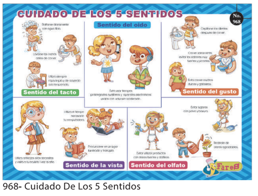[F968] LAMINA EDUCATICA CUIDADO DE LOS 5 SENTIDOS