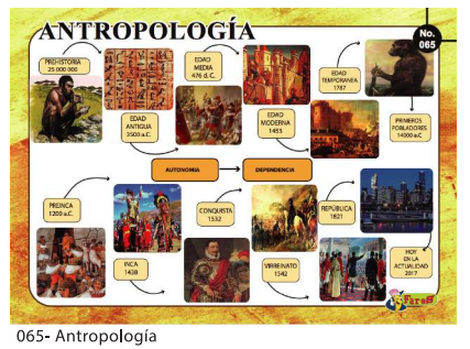 [F65] LAMINAS EDUCATIVAS ANTROPOLOGIA