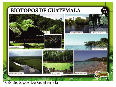[F108] LAMINAS EDUCATIVAS BIOTIPOS DE GUATEMALA