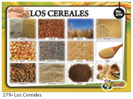[F279] LAMINAS EDUCATIVAS CEREALES