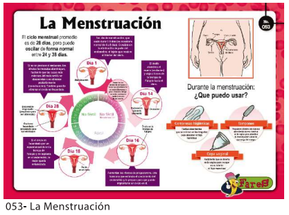 [F53] Laminas educativas  La Menstruacion